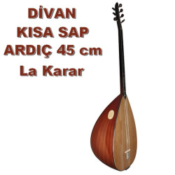 DİVAN ARDIÇ KISA SAP BAĞLAMA KARAR SESİ LA DİVAN ARDIÇ KISA SAP BAĞLAMA KARAR SESİ LA