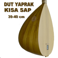 YENİ BAŞLIYAN TÜRKÜ DOSTLARIMIZ İÇİN  BİR ÜST MODEL KISA SAP BAĞLAMA YENİ BAŞLIYAN TÜRKÜ DOSTLARIMIZ İÇİN  BİR ÜST MODEL KISA SAP BAĞLAMA
