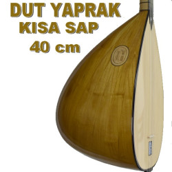 DUT YAPRAK BAĞLAMA KISA SAP 40 cm ( köprü sistemli) DUT YAPRAK BAĞLAMA KISA SAP 40 cm ( köprü sistemli)