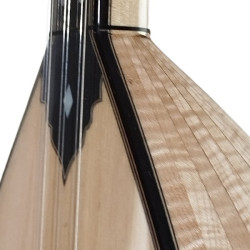 SOLAK KELEBEK KISA SAP BAĞLAMA 42.5 cm SOLAK KELEBEK KISA SAP BAĞLAMA 42.5 cm