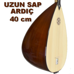 UZUN SAP ARDIÇ BAĞLAMA 40 cm UZUN SAP ARDIÇ BAĞLAMA 40 cm
