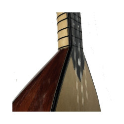 Cura Bağlama Ardıç 26 cm Cura Bağlama Ardıç 26 cm