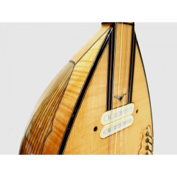 4 Telli Elektro Bağlama 4 Telli Elektro Bağlama