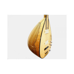 4 Telli Elektro Bağlama 4 Telli Elektro Bağlama