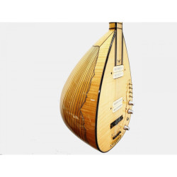 4 Telli Elektro Bağlama 4 Telli Elektro Bağlama