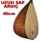 Uzun Sap Bağlama Ardıç 40 cm