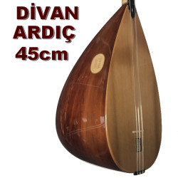 Divan Ardıç Bağlama 45 cm Divan Ardıç Bağlama 45 cm